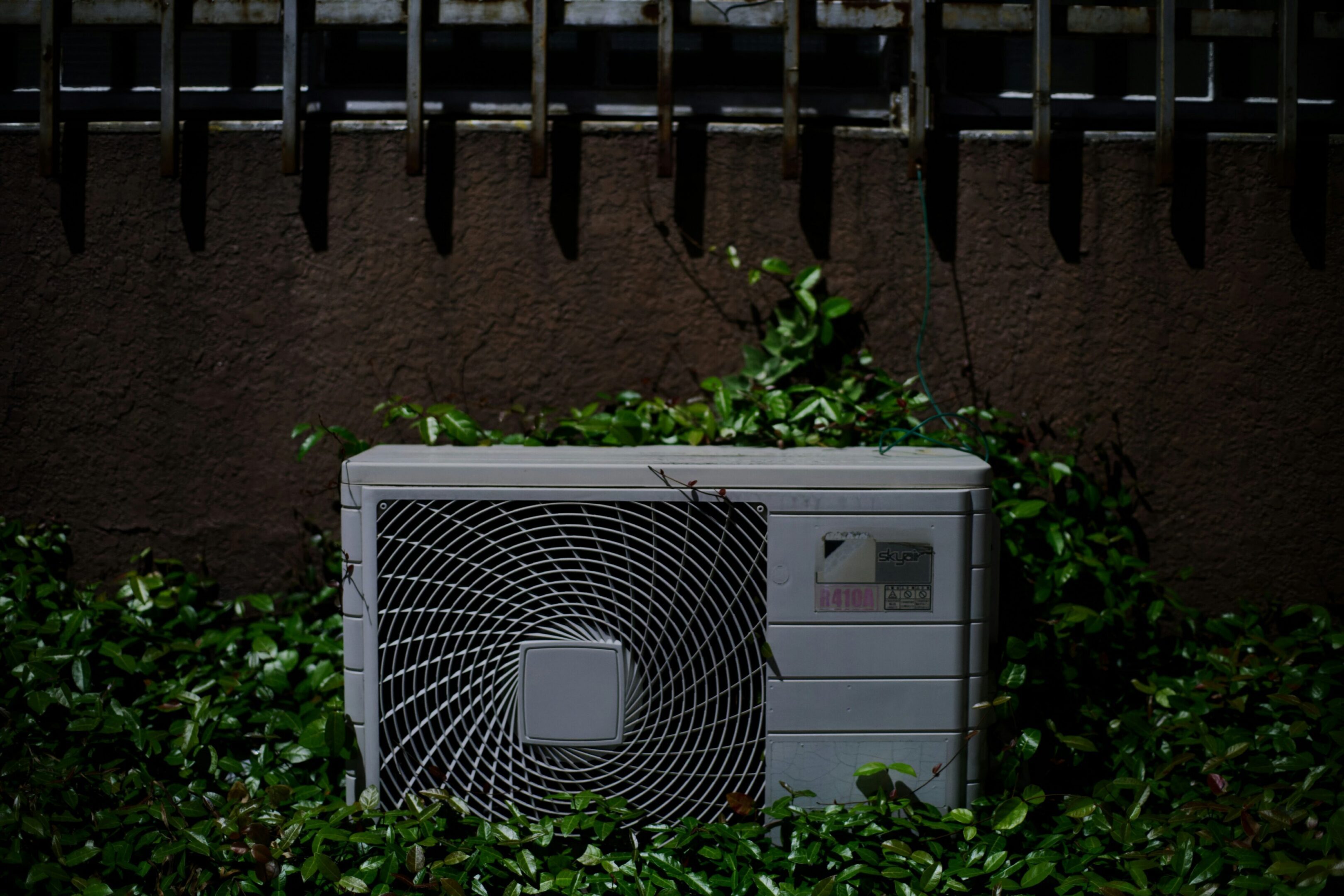 da-shika-50Hl3yOQzUU-unsplash