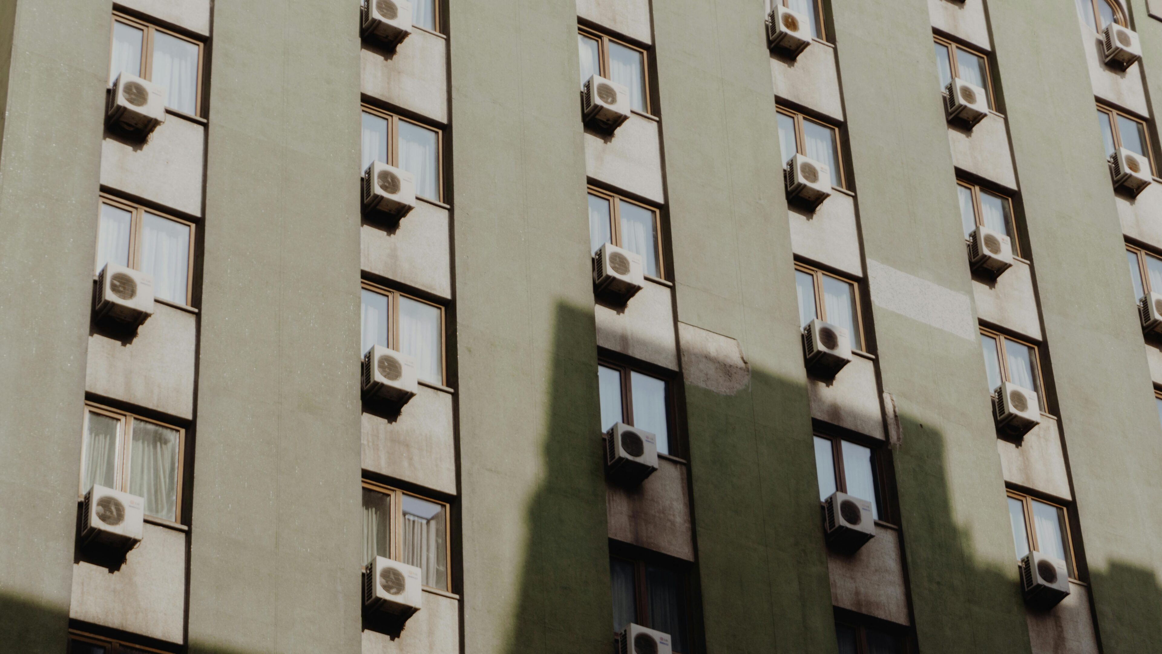 pexels-mibernaa-24551564